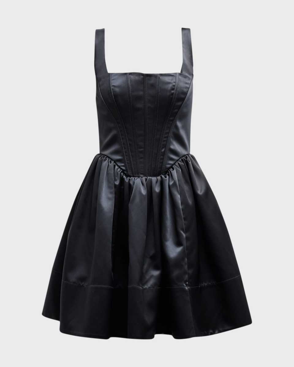 Landscape Fit & Flare Corset Mini Dress